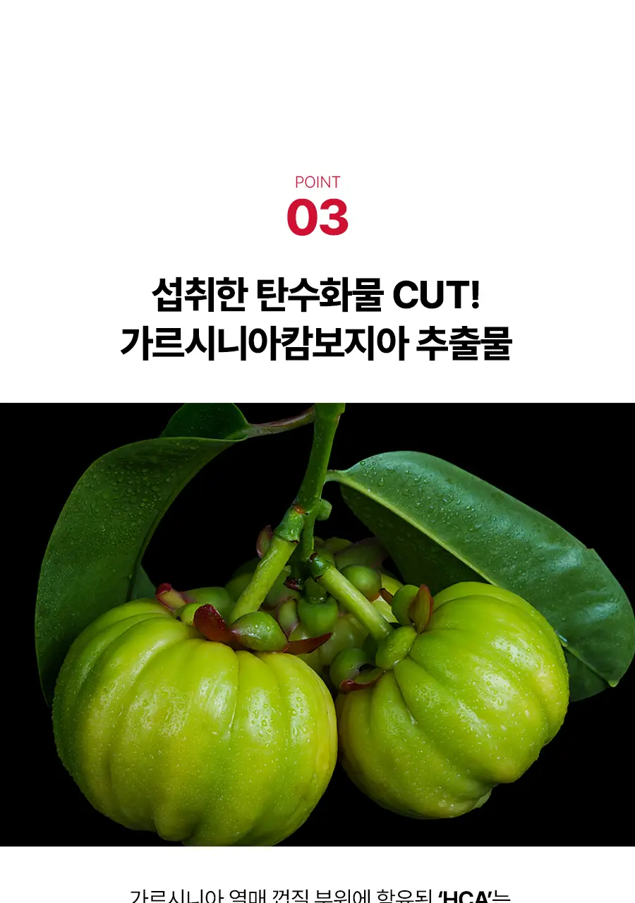 [서현PICK] 콜레올로지 버닝올로지 디데이 3.8g*5포 (5일분) 상세페이지 28